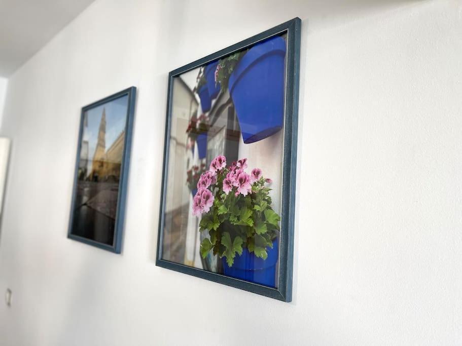 Apartamento Centrico Urbano Con Terraza Cordoba Exterior photo